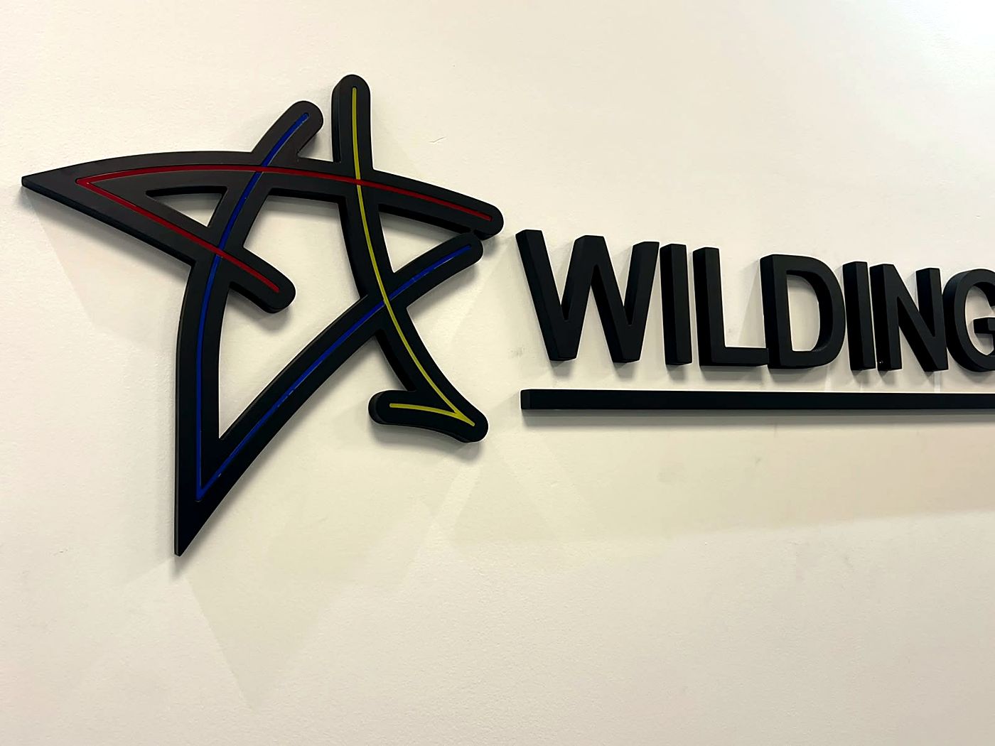 Logo Wilding en relief noir avec filets de couleur